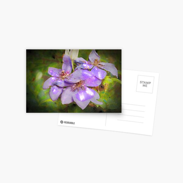 Sparkling Magic Postcard
