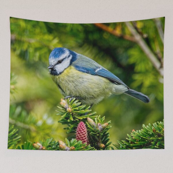 Item preview, Bluetit Garden Bird Picture designed and sold by Martyn R Arnold Fine Art Nature & Landscape Photography.