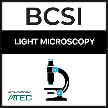 Artwork thumbnail, Light Microscopy by BCSI