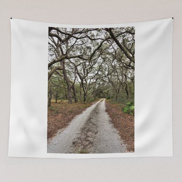 Item preview, Forest Road Through A Tangled Oak Canopy 2 designed and sold by jtrommer.