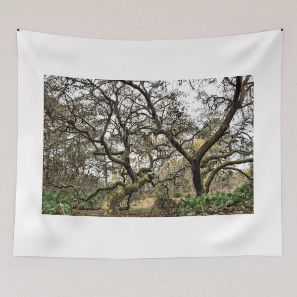 Item preview, Tangled Oak Trees In A Florida Forest designed and sold by jtrommer.
