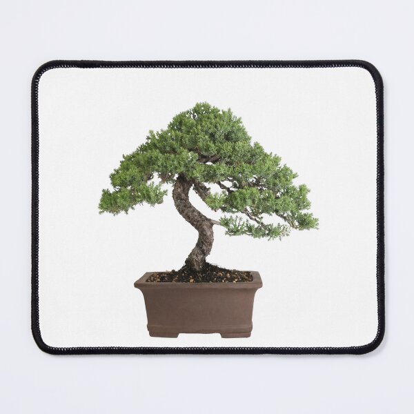 Item preview, Bonsai Tree designed and sold by Chris Munz.