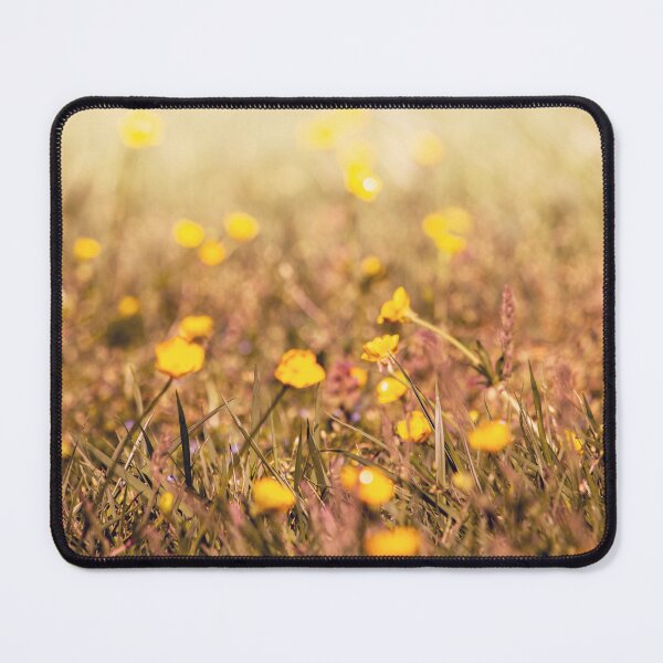 Item preview, Not in focus, but neither is life designed and sold by Adam Cunningham.