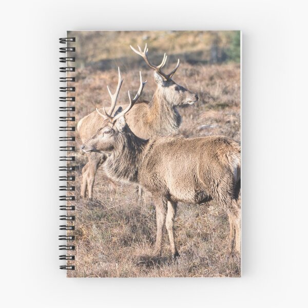 Item preview, Scottish Red deer designed and sold by Derren Jones.