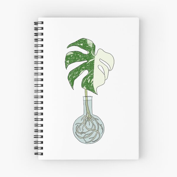 Item preview, Thai Constellation Monstera Cutting designed and sold by ellejoyart.
