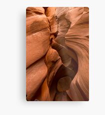Peek-a-Boo Slot Metal Print