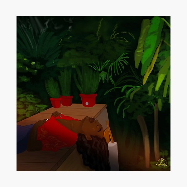 SECRET GARDEN Photographic Print