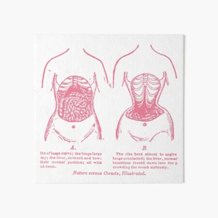 Nature versus corsets, illustrated