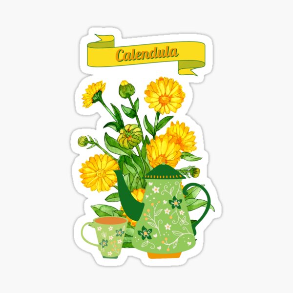 Item preview, Medicinal flowers & Herbs (Calendula). (Original) New designed and sold by BingsBooks.