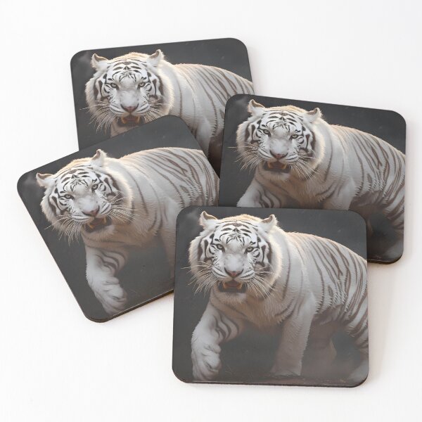 Aperçu de l'œuvre Beau tigre blanc, musclé et fort, son regard perçant vous retient longtemps créée et vendue par SingularityGeek.