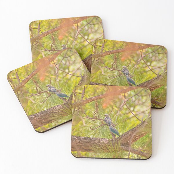 Item preview, cla blue tanagers designed and sold by pcfyi.