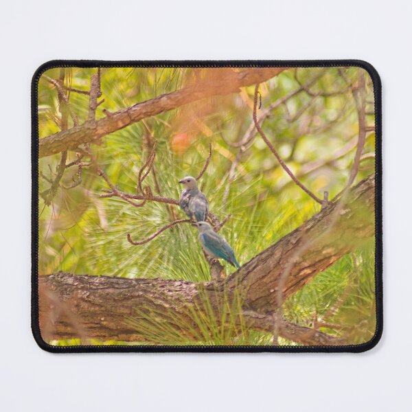 Item preview, cla blue tanagers designed and sold by pcfyi.
