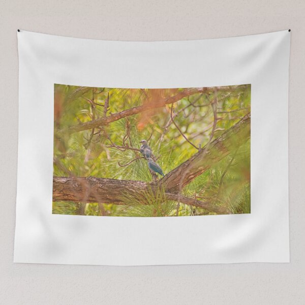 Item preview, cla blue tanagers designed and sold by pcfyi.