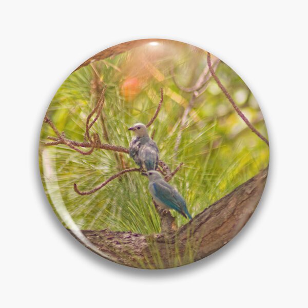 Item preview, cla blue tanagers designed and sold by pcfyi.