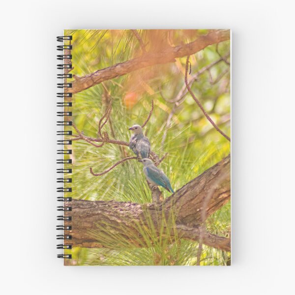 Item preview, cla blue tanagers designed and sold by pcfyi.