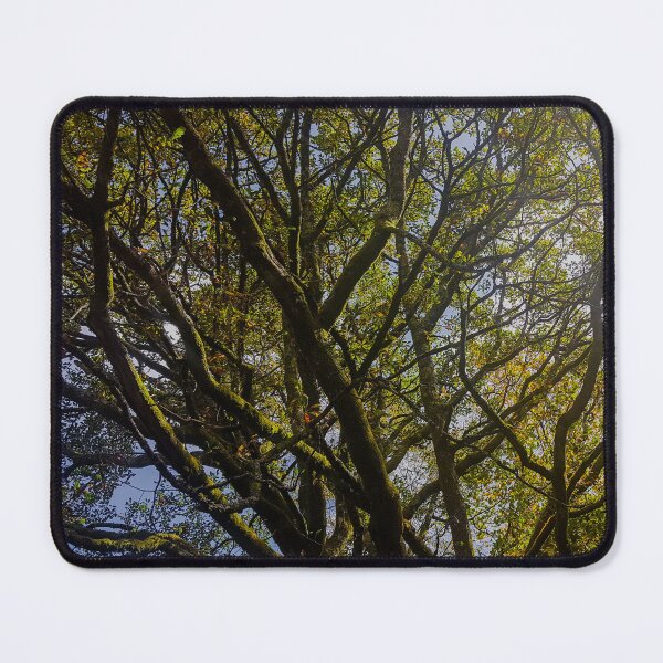 Item preview, Treetop designed and sold by VelesPhoto.