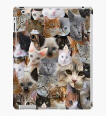 CRAZY CAT LADY iPad Case/Skin