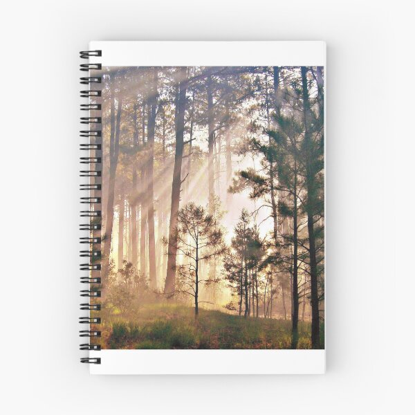 Item preview, Sunbeams shining in a magical forest  designed and sold by Sedonaroma.