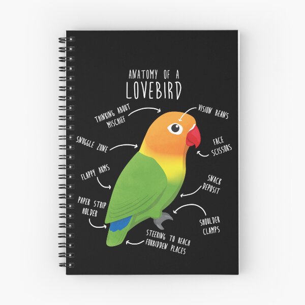 Item preview, Fischer's Lovebird Parrot Anatomy designed and sold by Clara Hollins.