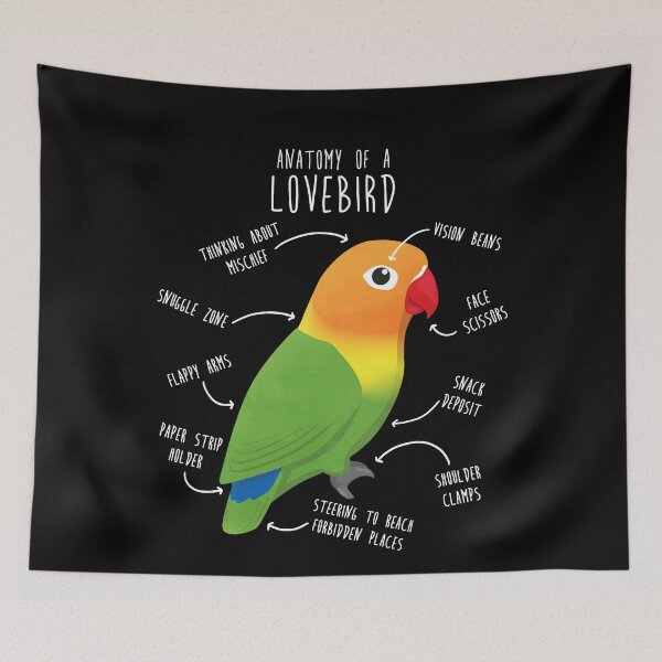 Item preview, Fischer's Lovebird Parrot Anatomy designed and sold by Clara Hollins.