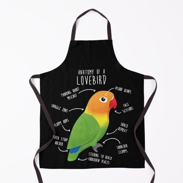 Item preview, Fischer's Lovebird Parrot Anatomy designed and sold by Clara Hollins.