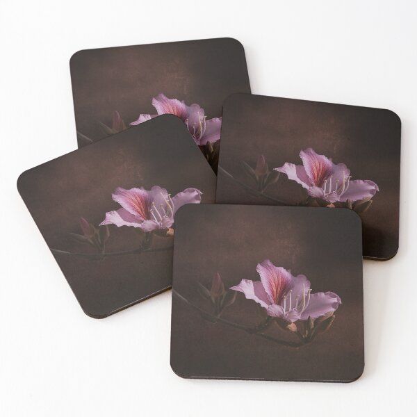 Item preview, Bauhinia variegata blooming  designed and sold by jkrphoto.