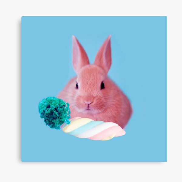 Pink Rabbit with carrot marshmellow by Alice Monber Canvas Print
