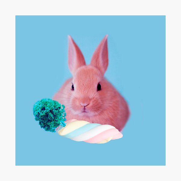 Pink Rabbit with carrot marshmellow by Alice Monber Photographic Print