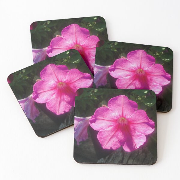 Item preview, Sunlit pink flower designed and sold by Shulie1.