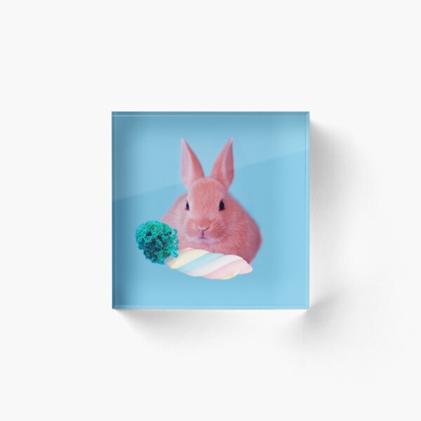 Pink Rabbit with carrot marshmellow by Alice Monber Acrylic Block