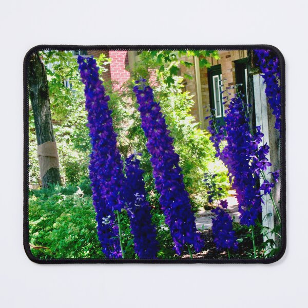 Item preview, Blue Delphiniums designed and sold by Shulie1.