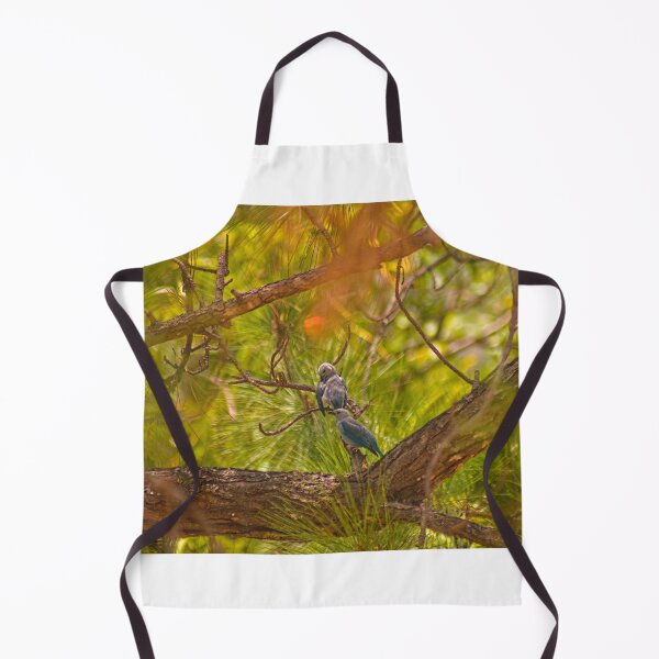 Item preview, cla pair grey blue tanagers designed and sold by pcfyi.
