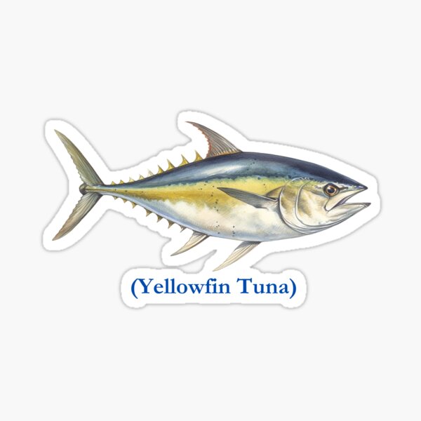 Yellowfin Tuna Stickers for Sale, Free US Shipping