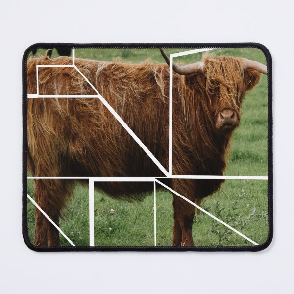 Item preview, Highland Cow for Cow Lovers designed and sold by harwoodkp.