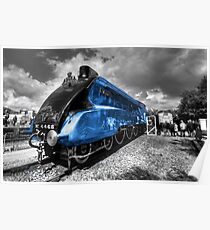 The Mallard Poster
