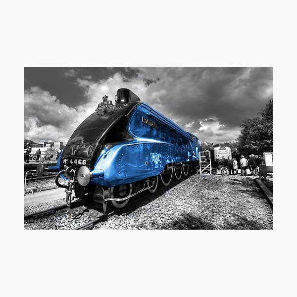 The Mallard Photographic Print