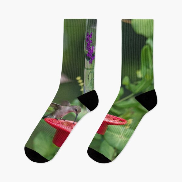 Item preview, Hummingbird Lunch Stop designed and sold by alanathrower.
