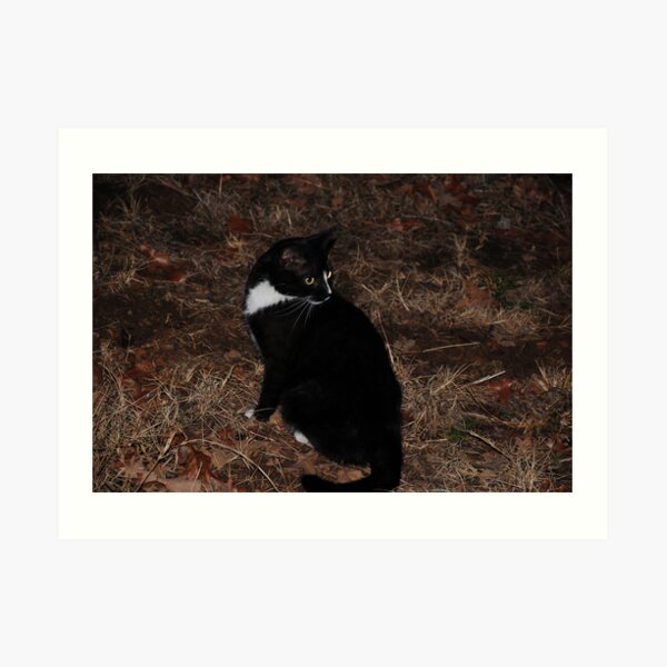 Whats That? Art Print