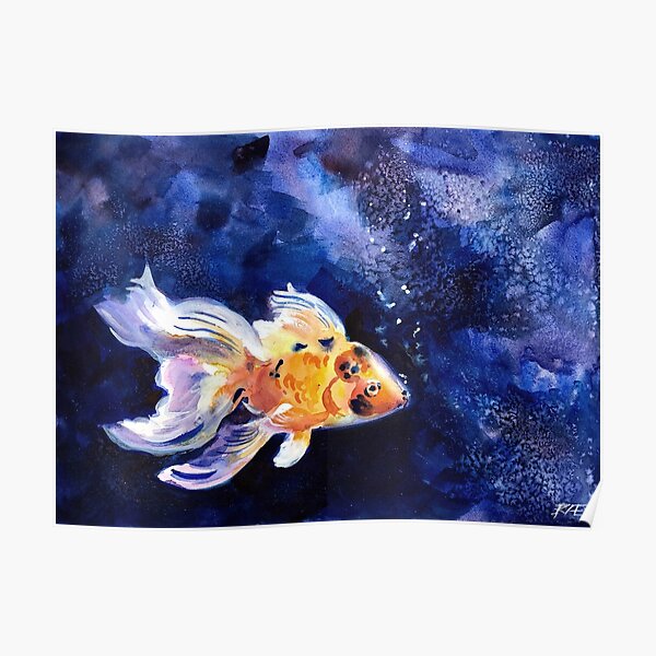 Goldfish and Blue Poster