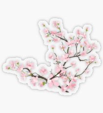 Cherry blossoms Transparent Sticker