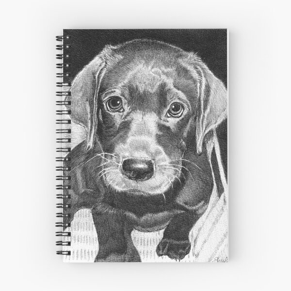 Item preview, NITRO designed and sold by FaithfulFaces.