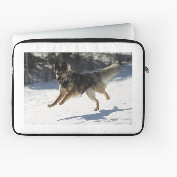Unknown Laptop Sleeve