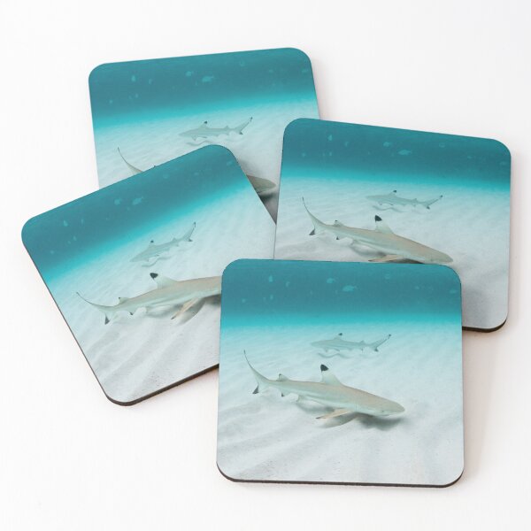 Item preview, Blacktip Reef Sharks designed and sold by sharkboyalex.