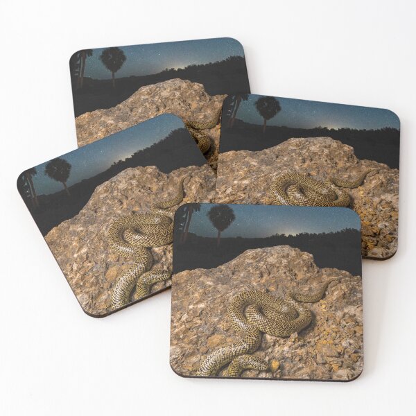 Item preview, Brooks Kingsnake, Florida designed and sold by Mario Ramos.