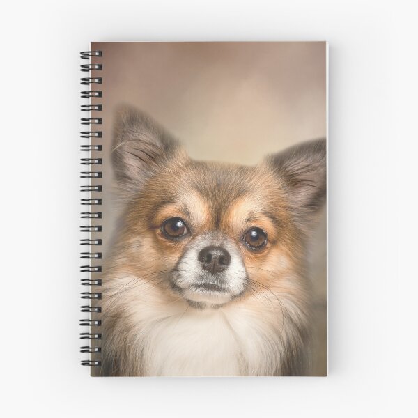 Item preview, Fluffy Chihuahua 01 designed and sold by Elisabeth Lucas.