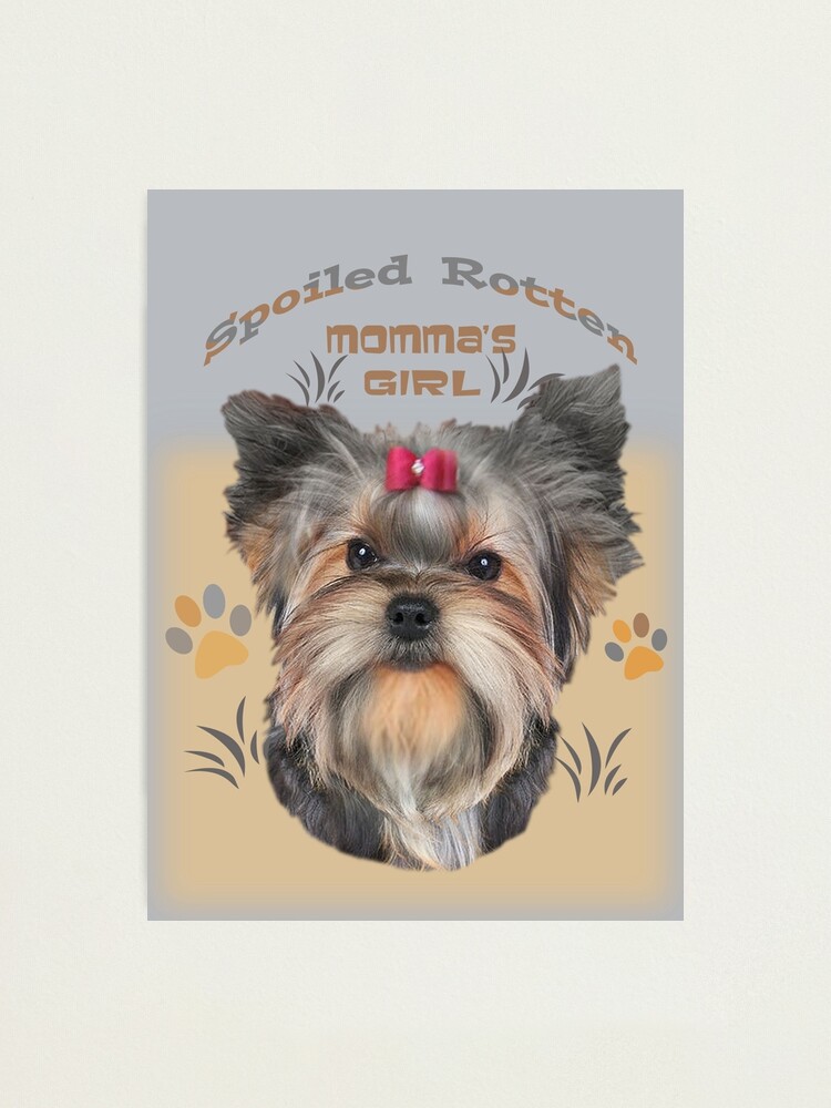 Mommy's Little Pumpkin Yorkie Metal Print Mommy's Little Pumpkin Yorkie Metal Print