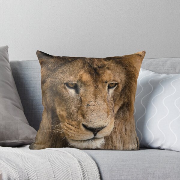 Item preview, Beautiful lion closeup picture designed and sold by Marcu Ioachim.