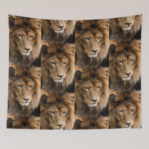 Item preview, Beautiful lion closeup picture designed and sold by Marcu Ioachim.