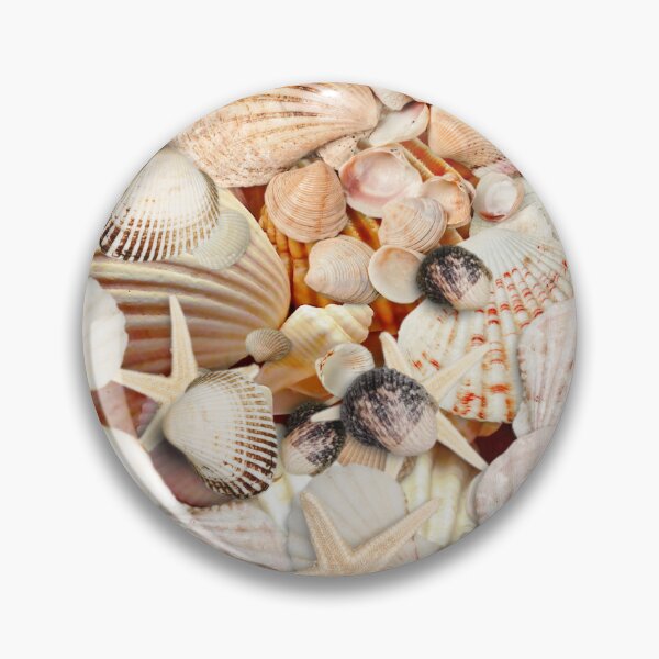 Item preview, Seashells Collection designed and sold by OldSoulInspired.