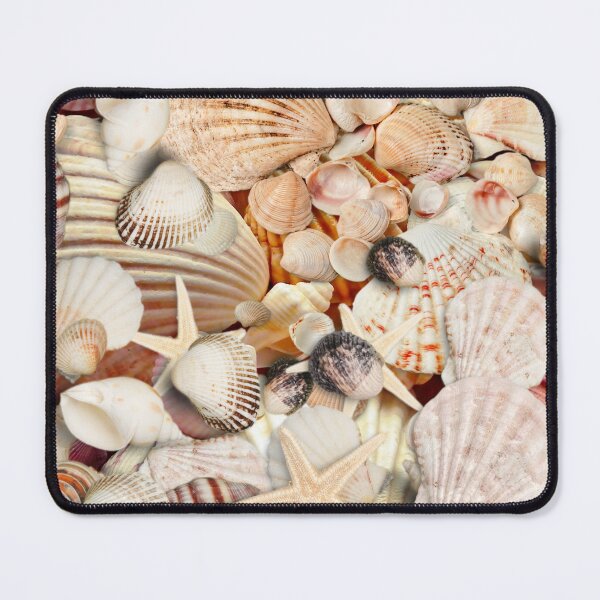 Item preview, Seashells Collection designed and sold by OldSoulInspired.